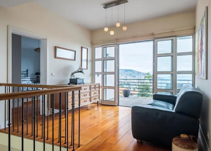 Magnolia * Funchal (Madeira)